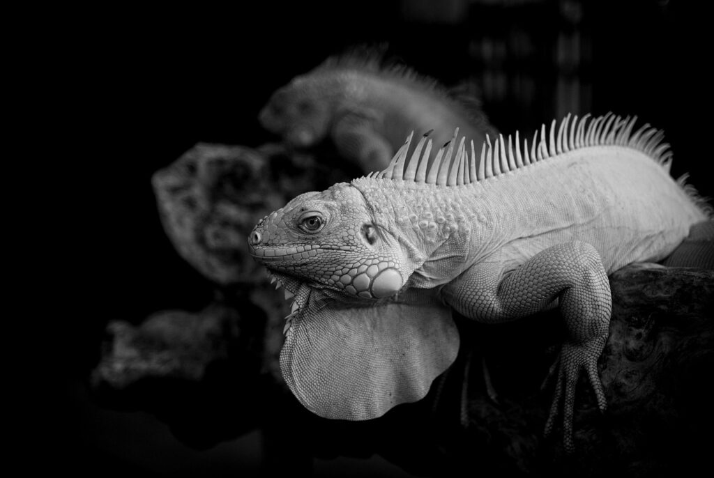 寝返りがしやすい枕はどのように選ぶべき？