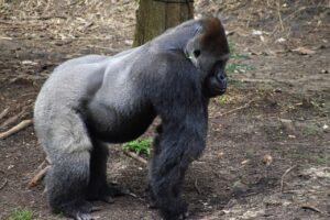 2025年版の枕おすすめランキングは？