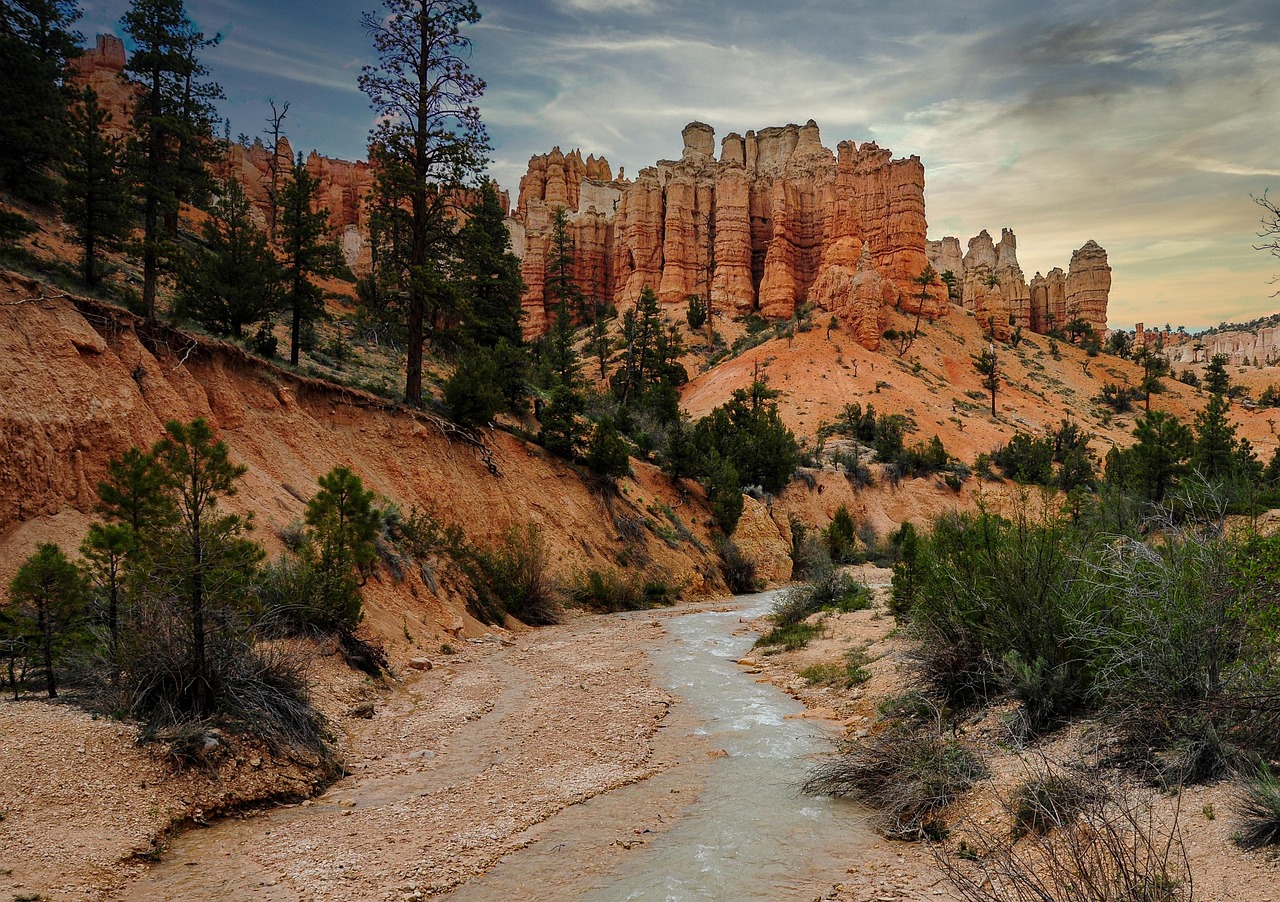 枕の低反発と高反発の比較で見極め方は？