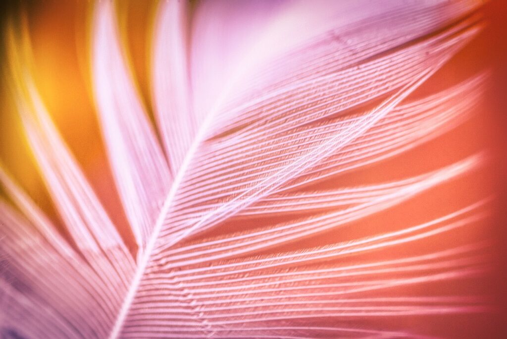 枕の旅行用携帯軽量タイプで高さ調整はどのように行うの？