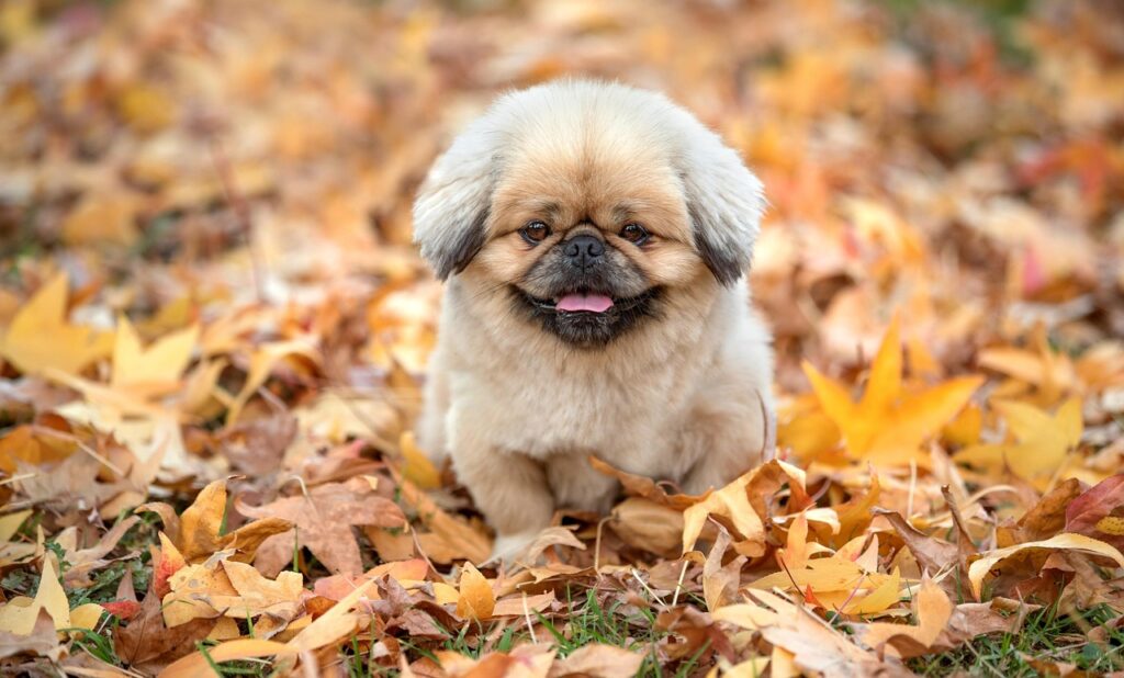 朝腰痛いのは枕の影響がある？