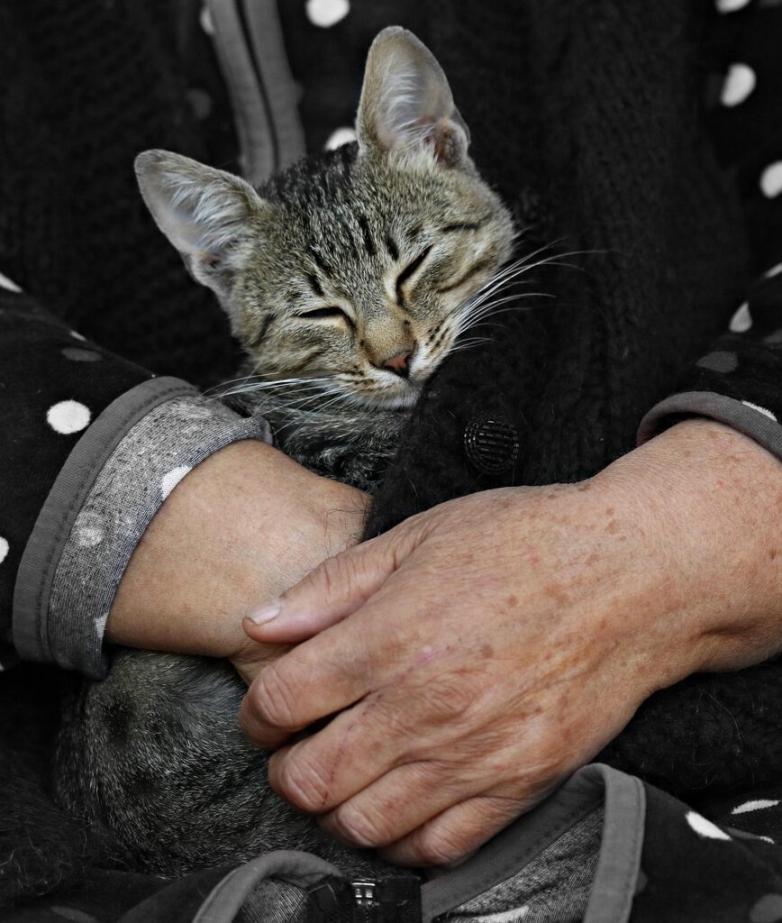 枕フィットが良すぎると首が痛いのはなぜ？