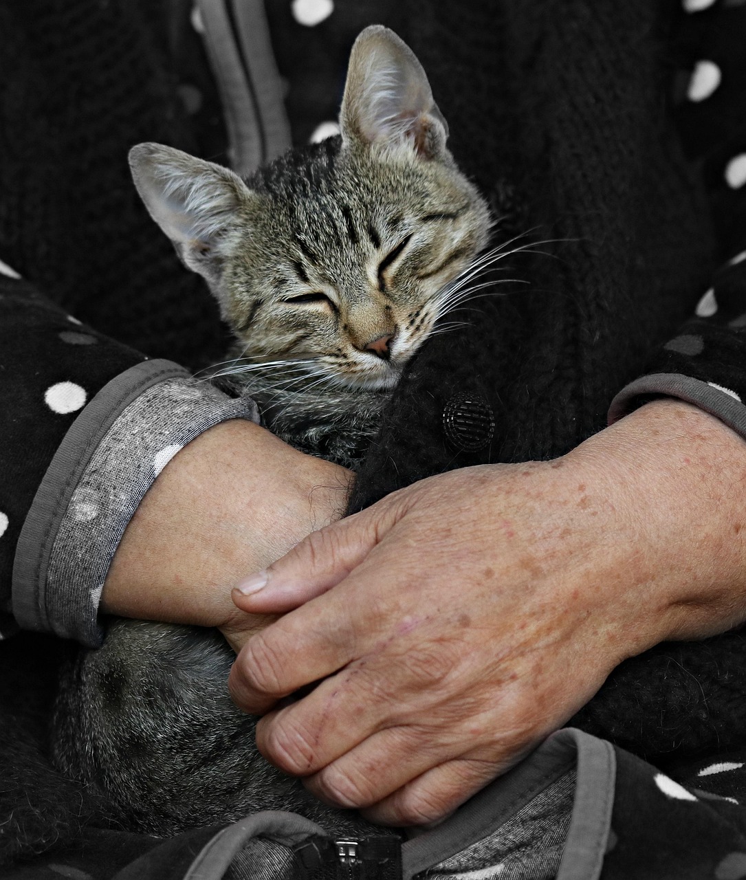 枕フィットが良すぎると首が痛いのはなぜ？