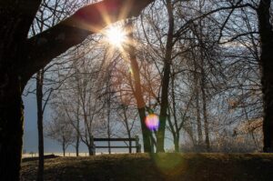 夜中に起きる枕の原因とは何ですか？