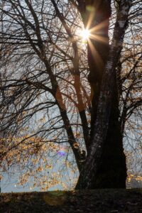 朝起きると首が痛い時に最適な枕はどれですか？