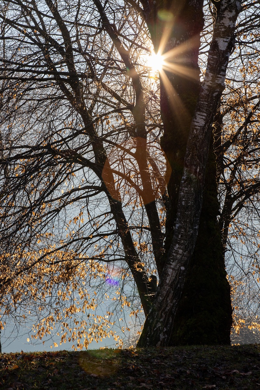 朝起きると首が痛い時に最適な枕はどれですか？