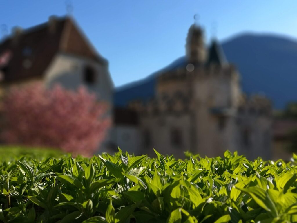 枕が合ってない時に現れる症状とは？