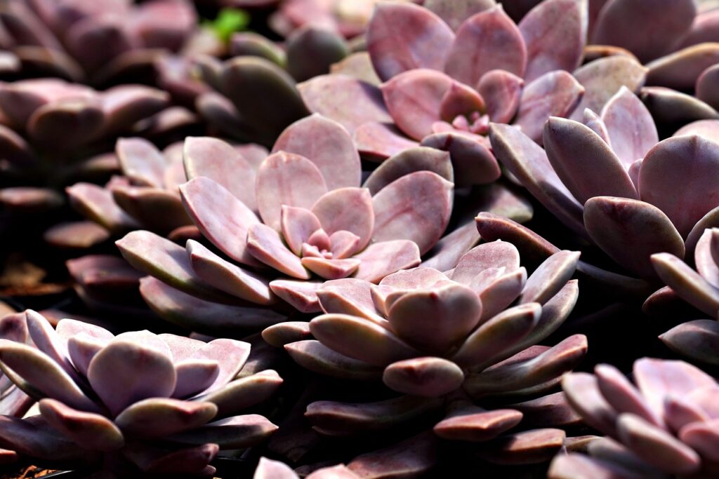 横向き寝で肩が痛い時の枕の対策は？
